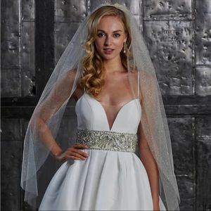 Sparkle Bridal Veil catherdral length
